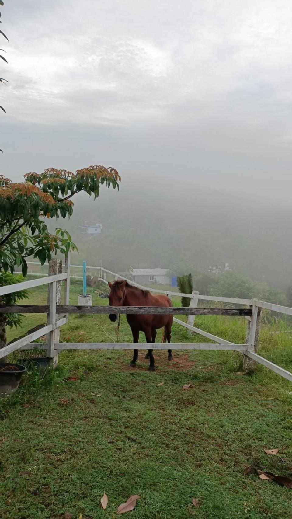 Phang Nga Viewpoint エクステリア 写真